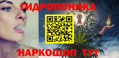твердый Новодвинск